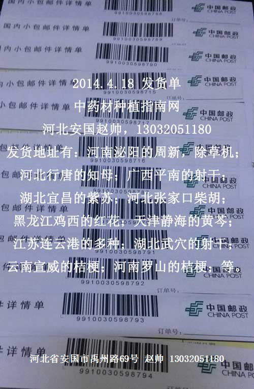 答读者问:今年种什么药材最赚钱