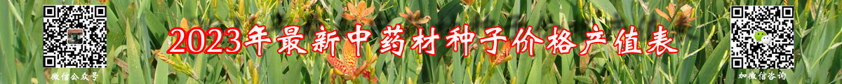 ҩӼ۸