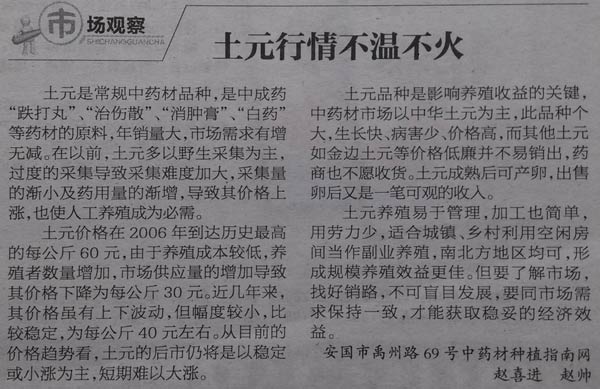 中药材种子,中药材基地,中药材种植前景分析预测,种什么药材最赚钱