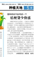 中药材种植指南网,河北安国赵帅,13032051180
