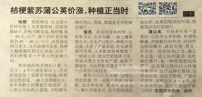 中药材种子,中药材基地,中药材种植前景分析预测,种什么药材最赚钱
