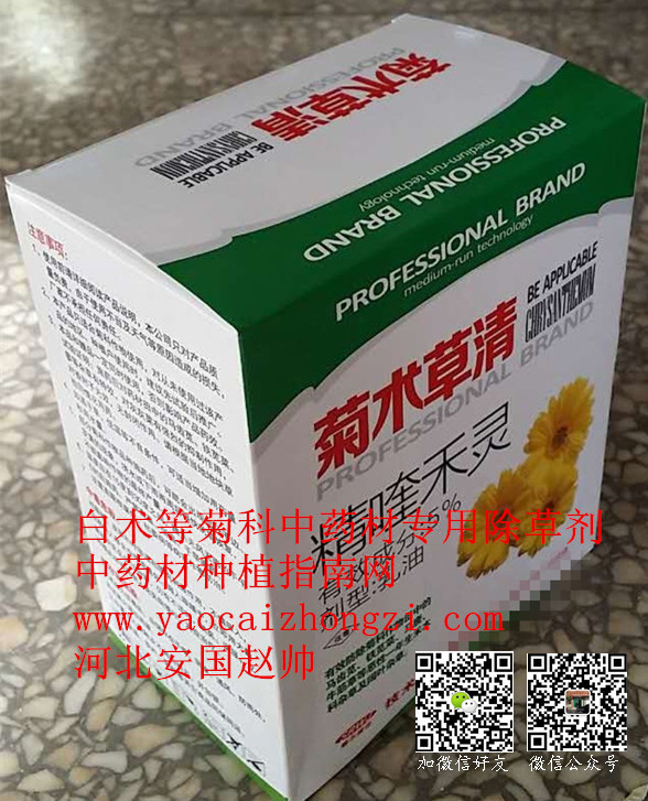 菊花菊科中药材苗后专用除草剂