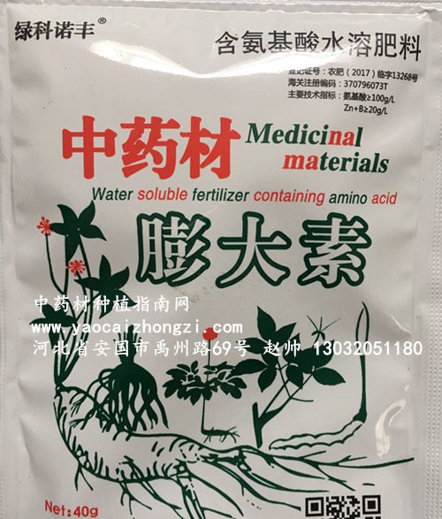 膨大素