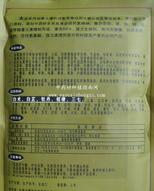小胖墩2