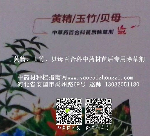 中药材除草剂